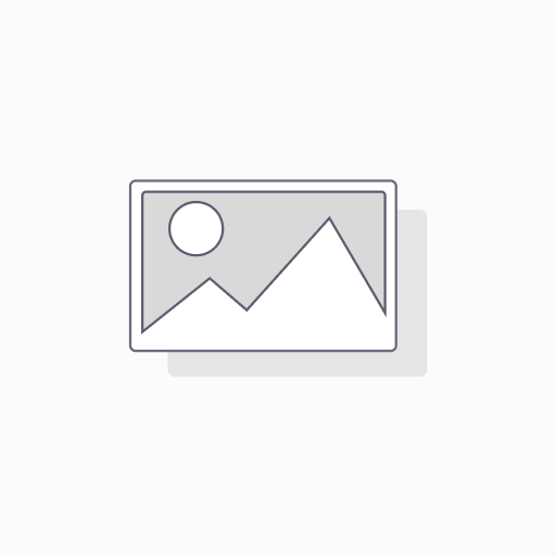 [BE2015] RADIS NOIR-ARTICHAUT COMPRIMES